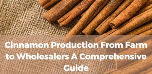 cinnamon-production-from-farm-to-wholesalers-a-comprehensive-guide